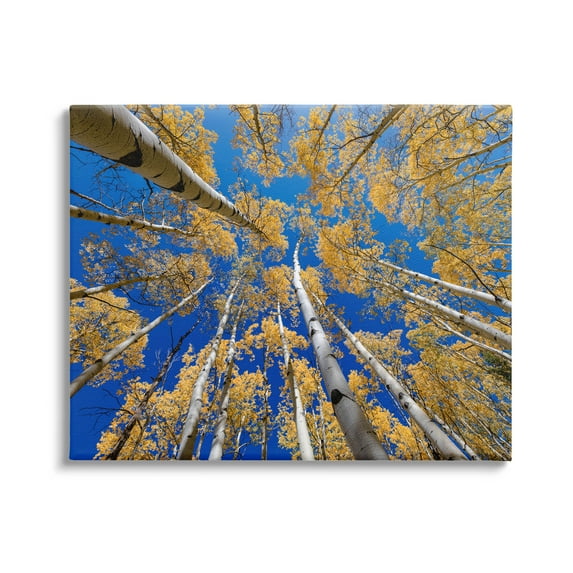 Looming Woodland Foliage Trees Landscape Photograph Gallery Wrapped Canvas Print Wall Art