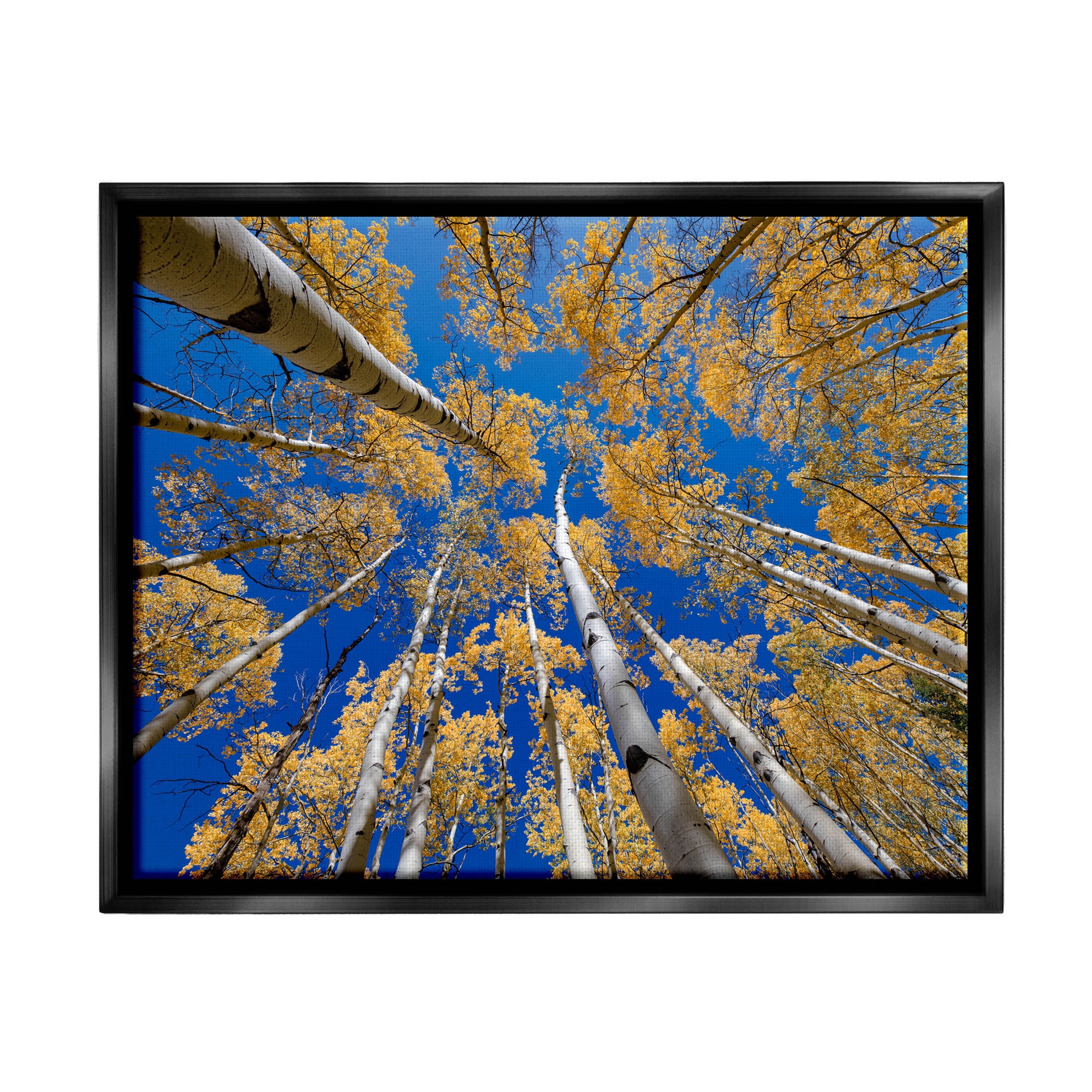 Looming Woodland Foliage Trees Landscape Photograph Jet Black Framed Art Print Wall Art