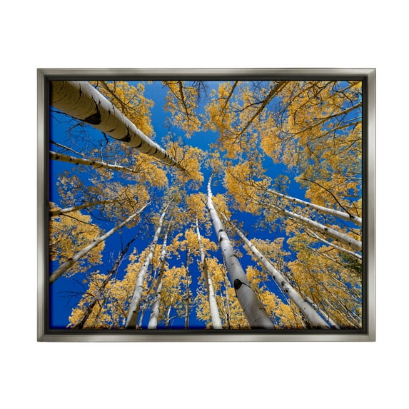 Looming Woodland Foliage Trees Landscape Photograph Luster Gray Framed Art Print Wall Art