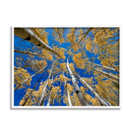 Looming Woodland Foliage Trees Landscape Photograph White Framed Art Print Wall Art