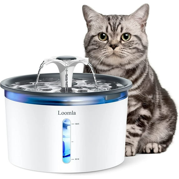 Loomla Pet Fountain, 85oz/2.5L Cat Dog Water Fountain with 2 Replacement Filters ,Gray