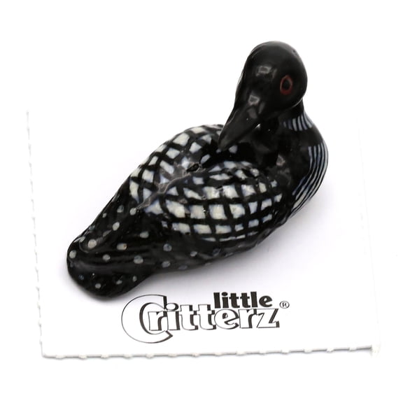 Little Critterz Loon "Gavia" Collectible - Hand-painted Home Decor Bird Decorative Figurine Birthday Gift - Miniature Porcelain Figurine