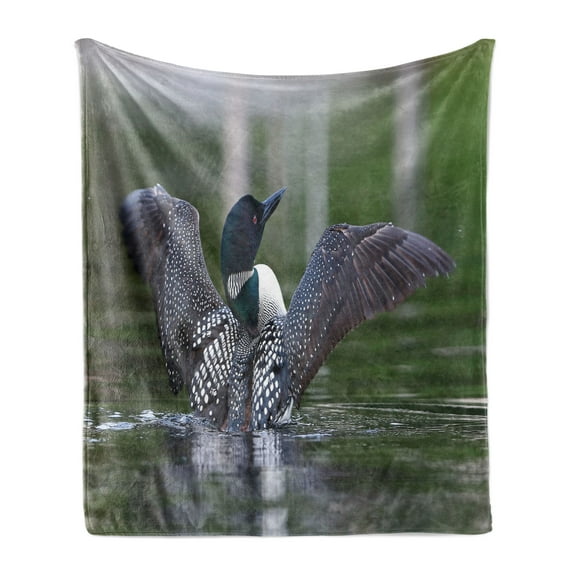 Loon Soft Flannel Fleece Throw Blanket, Real Image of a Common Loon Spreading Her Wings in the Morning Blurry Background, Cozy Plush for Indoor and Outdoor Use, 70" x 90", Multicolor, by Ambesonne