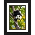 thumbnail image 1 of Looney, Hollice 17x24 Black Ornate Wood Framed with Double Matting Museum Art Print Titled - Asia-China-Wolong-Giant Panda-Part of the UNESCO Man and Biosphere Reserve Network, 1 of 4