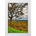 thumbnail image 1 of Looney, Hollice 17x24 White Modern Wood Framed Museum Art Print Titled - USA-Virginia-Shenandoah National Park-fall color, 1 of 4