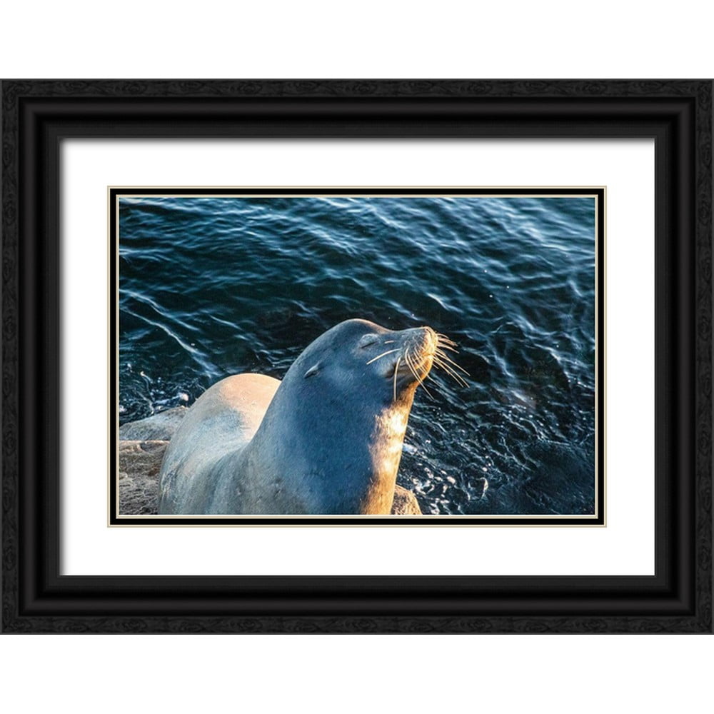 Looney Hollice 18x13 Black Ornate Wood Framed with Double Matting