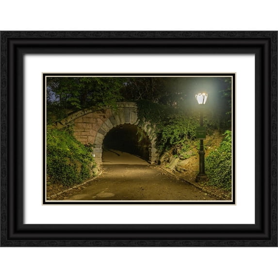 Looney, Hollice 18x13 Black Ornate Wood Framed with Double Matting Museum Art Print Titled - USA-New York Central Park