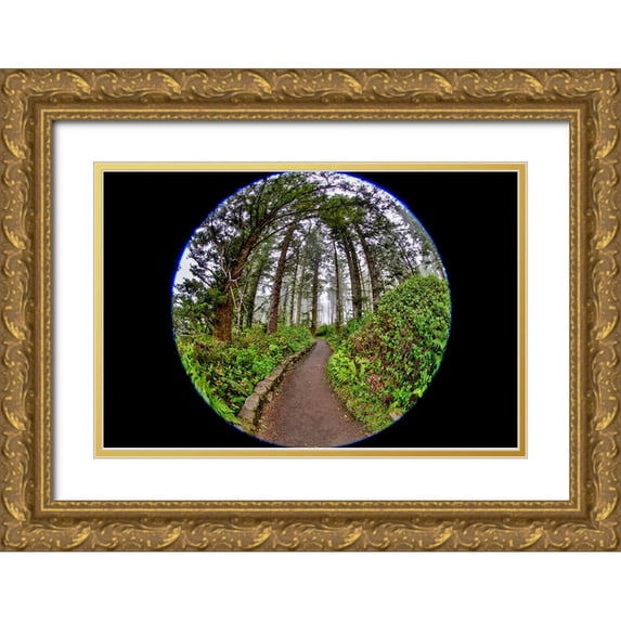 Looney, Hollice 18x13 Gold Ornate Wood Framed with Double Matting Museum Art Print Titled - Usa-Oregon-Yachats Cape Perpetua