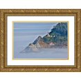 thumbnail image 1 of Looney, Hollice 24x17 Gold Ornate Wood Framed with Double Matting Museum Art Print Titled - Usa-Oregon-Florence Heceta Head Lighthouse, 1 of 4