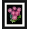 thumbnail image 1 of Looney, Hollice 26x32 Black Ornate Wood Framed with Double Matting Museum Art Print Titled - USA-Florida-Celebration-A bouquet of pink powderpuff flowers, 1 of 4