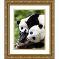 thumbnail image 1 of Looney, Hollice 26x32 Gold Ornate Wood Framed with Double Matting Museum Art Print Titled - Asia-China-Wolong-Giant Panda-Part of the UNESCO Man and Biosphere Reserve Network, 1 of 4