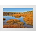 thumbnail image 1 of Looney, Hollice 32x23 White Modern Wood Framed Museum Art Print Titled - USA-Virginia-Alexandria-Huntley Meadows Park and fall color, 1 of 4