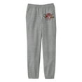 thumbnail image 1 of Looney Tunes Characters Youth Heather Gray Sweat Pants-Small, 1 of 1