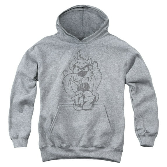 Looney Tunes - Faded Taz - Youth Hooded Sweatshirt - Large