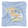 thumbnail image 1 of Looney Tunes Fweedom Bandana (21 in x 21 in), 1 of 4