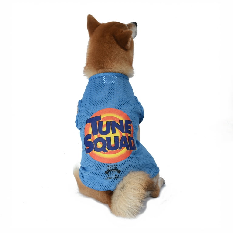 Looney Tunes Mesh Tune Squad Dog Jersey, Blue, S, Size: Small