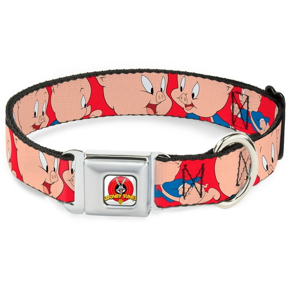 Looney Tunes Pet Collar, Dog Collar Metal Seatbelt Buckle, Porky Pig Expressions Red, 9.5 to 13 Inches 1.0 Inch Wide