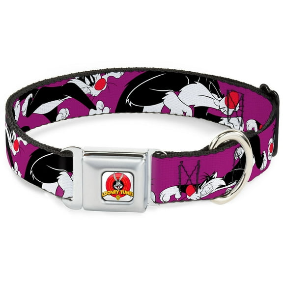 Looney Tunes Pet Collar, Dog Collar Metal Seatbelt Buckle, Sylvester The Cat Poses Purple, 15 to 24 Inches 1.0 Inch Wide