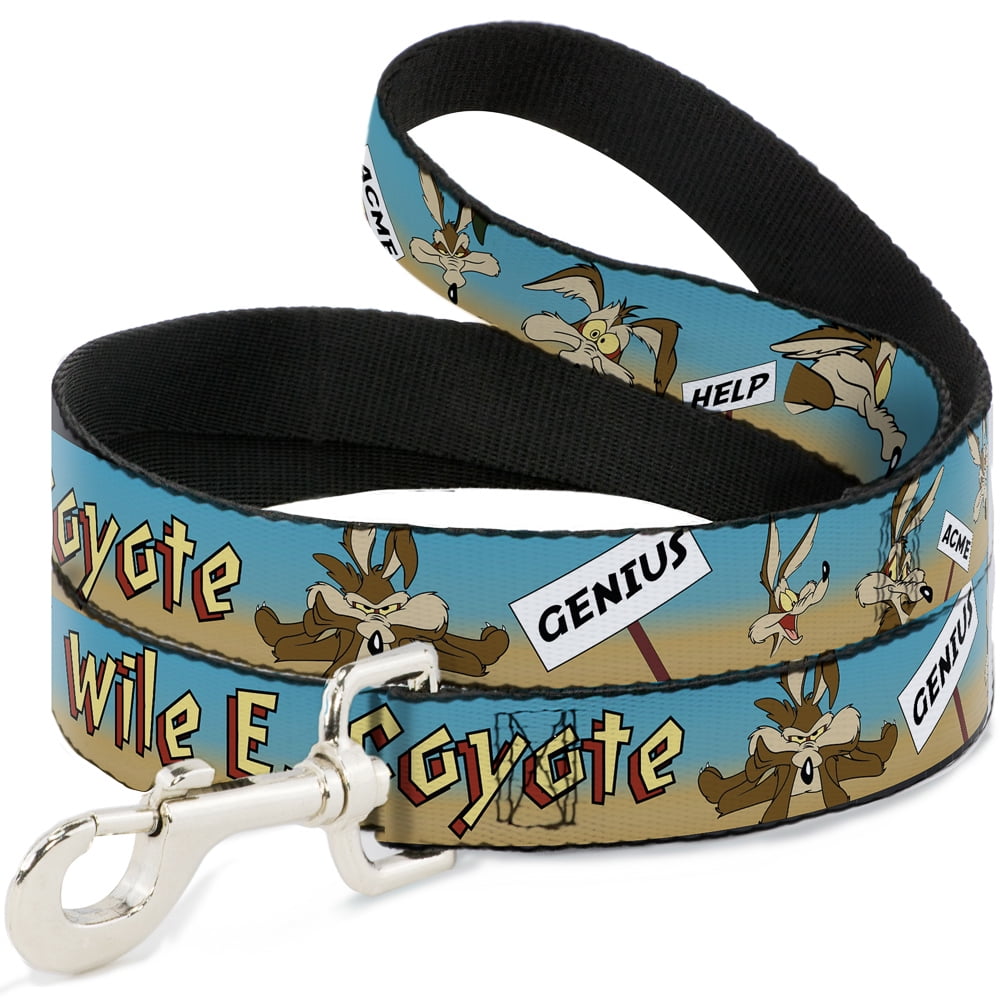 Looney Tunes Pet Leash, Dog Leash, Wile E Coyote Expressions Signs Desert, 4 Feet Long 1.0 Inch Wide