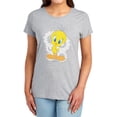 thumbnail image 1 of Looney Tunes Retro Tweety Women's T Shirt, Athletic Heather, Large, 1 of 6