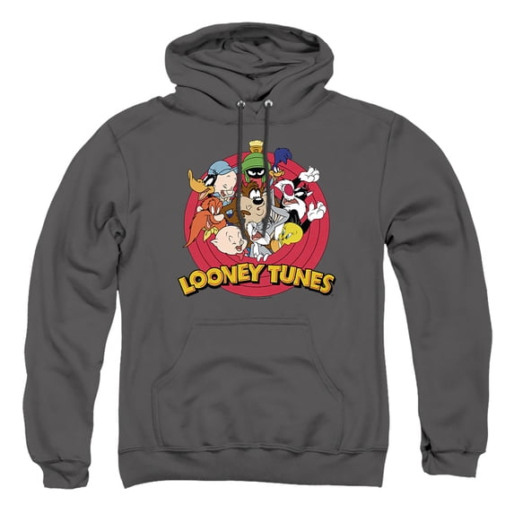 Looney Tunes Smaller Group Unisex Adult Pull-Over Heather Hoodie, X-Large, Charcoal