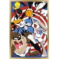 thumbnail image 1 of Looney Tunes: Space Jam - Court Wall Poster, 22.375" x 34", Framed, 1 of 3