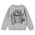 thumbnail image 1 of Looney Tunes Taz Character Art Crew Neck Long Sleeve Athletic Heather Boy's Sweatshirt-Small, 1 of 5