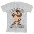 thumbnail image 1 of Looney Tunes Taz I Don't Do Mornings Boy's Heather Grey T-shirt-XL, 1 of 4