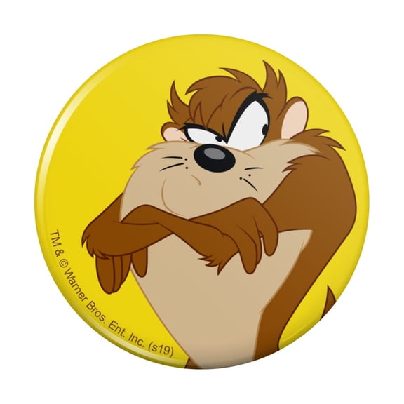 Looney Tunes Taz Pinback Button Pin