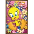 thumbnail image 1 of Looney Tunes - Tweety Bird - Power Wall Poster, 14.725" x 22.375", Framed, 1 of 3
