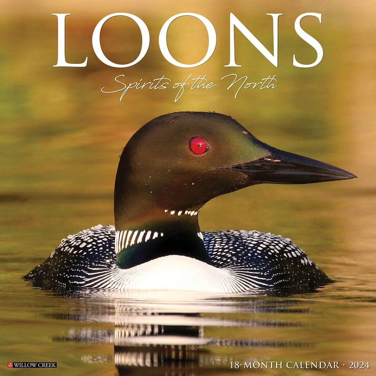 Loons 2025 12 X 12 Wall Calendar (Calendar)