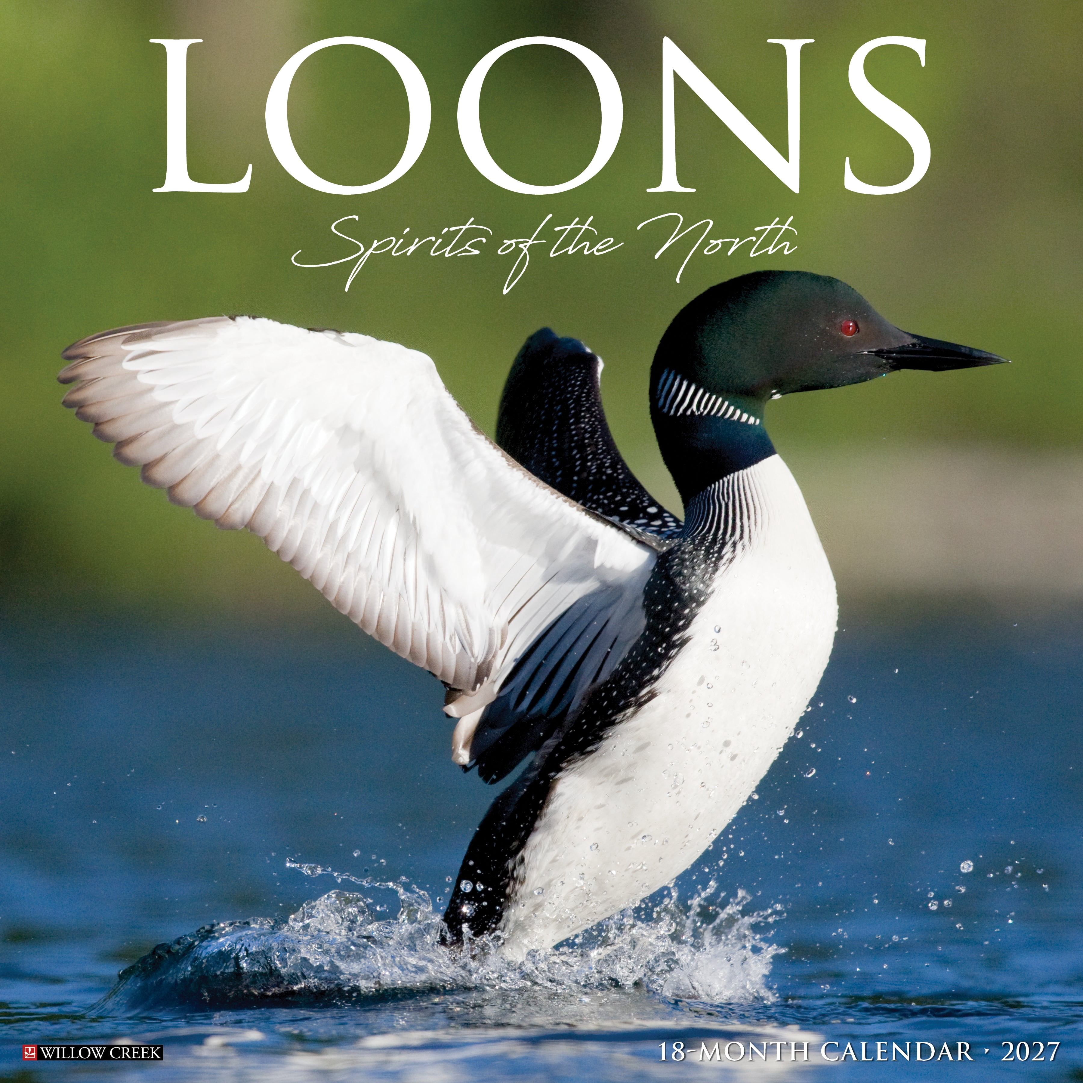 Willow Creek Press, Loons 2027 Wall Calendar