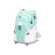 Loop Aquamarine White and Ash 19-inch Backpack