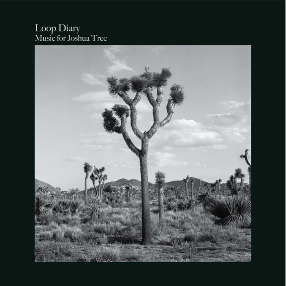 Loop Diary - Music For Joshua Tree - Music & Performance - Vinyl