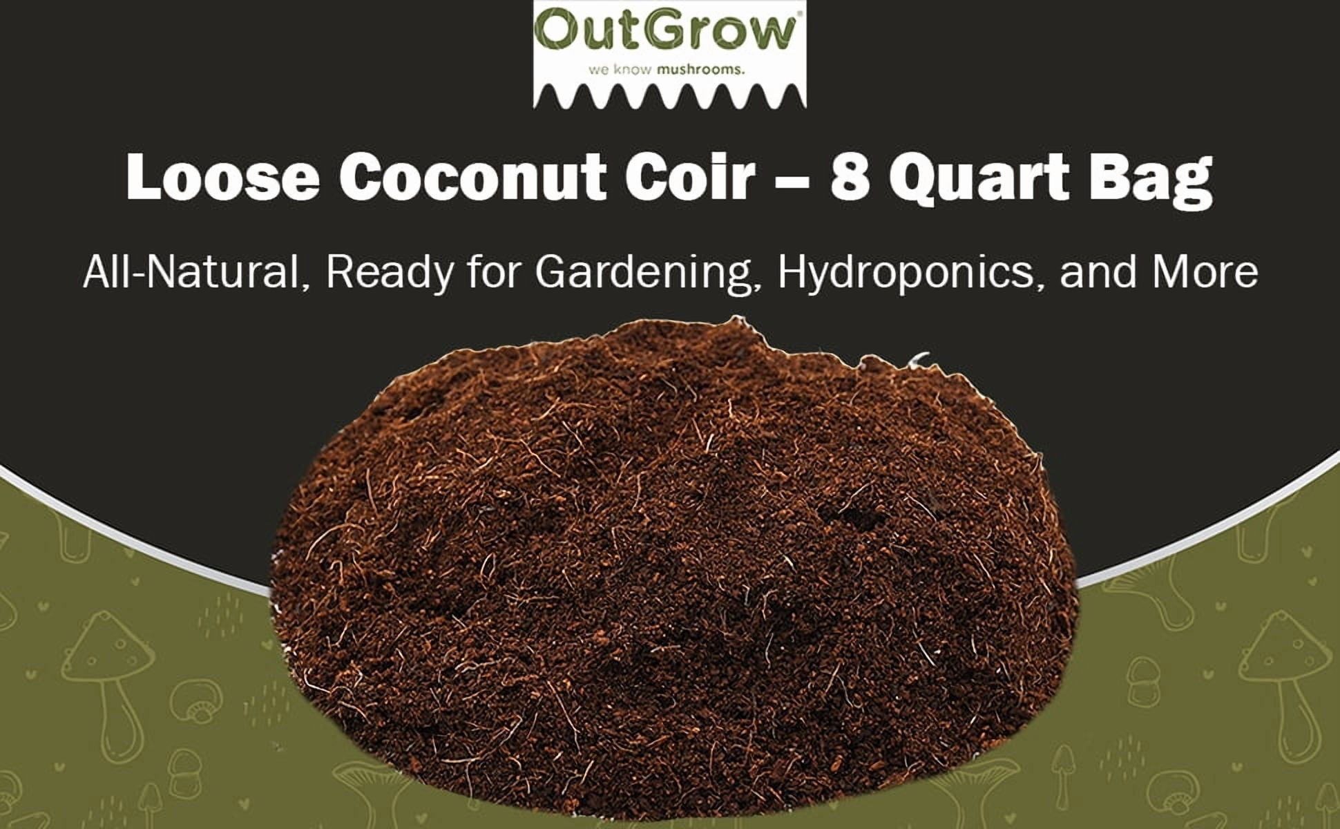 Loose Coconut Coir - 8 Quart Bag