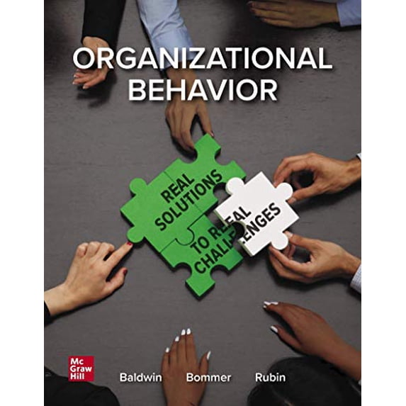 Pre-Owned Organizational Behavior: Real Solutions to Real Challenges Paperback - USED