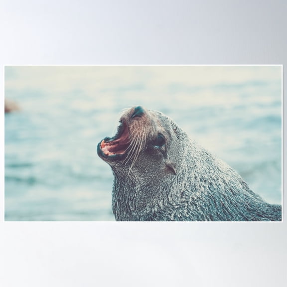 Loose Seal Poster Wall Art, Modern Wall Decor For Living Room Bedroom, 8x12 UNFRAMED