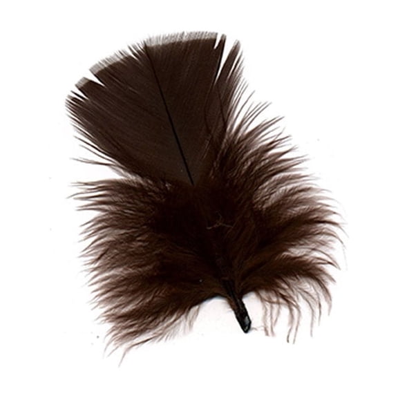 Loose Turkey Plumage Feathers - 0.5 oz - Brown