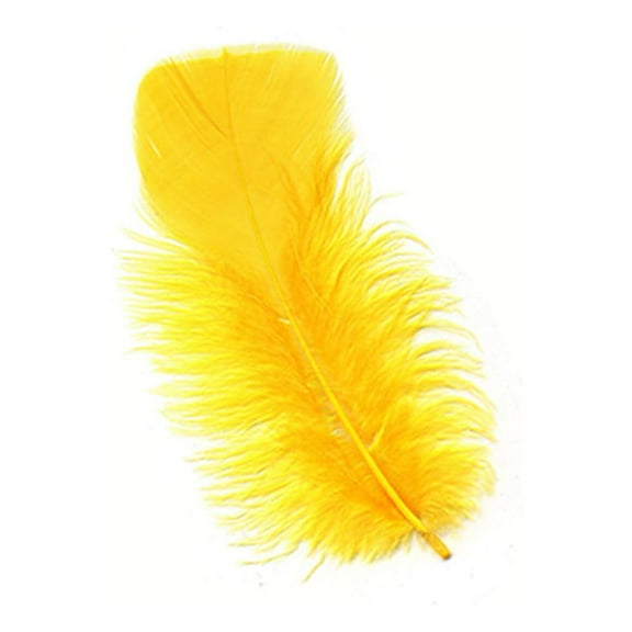 Loose Turkey Plumage Feathers - Gold