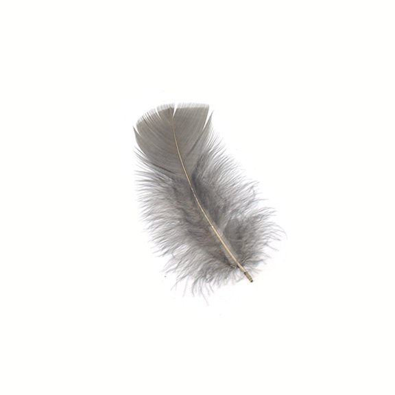 Loose Turkey Plumage Feathers - Grey