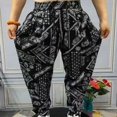 thumbnail image 1 of Loose-fitting Chinese Style Harem Pants, 1 of 5