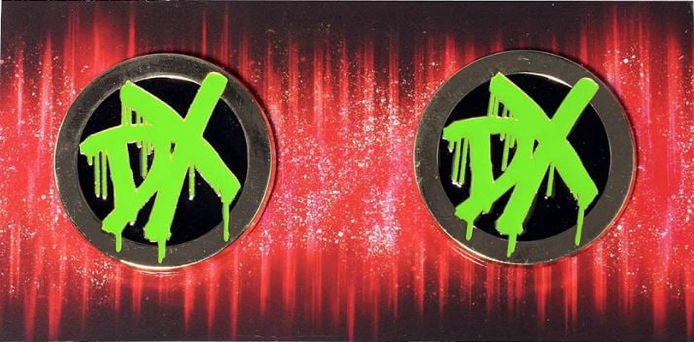 Loot Crate Exclusive D Generation X Side Plate Pins WWE SLAM CRATE