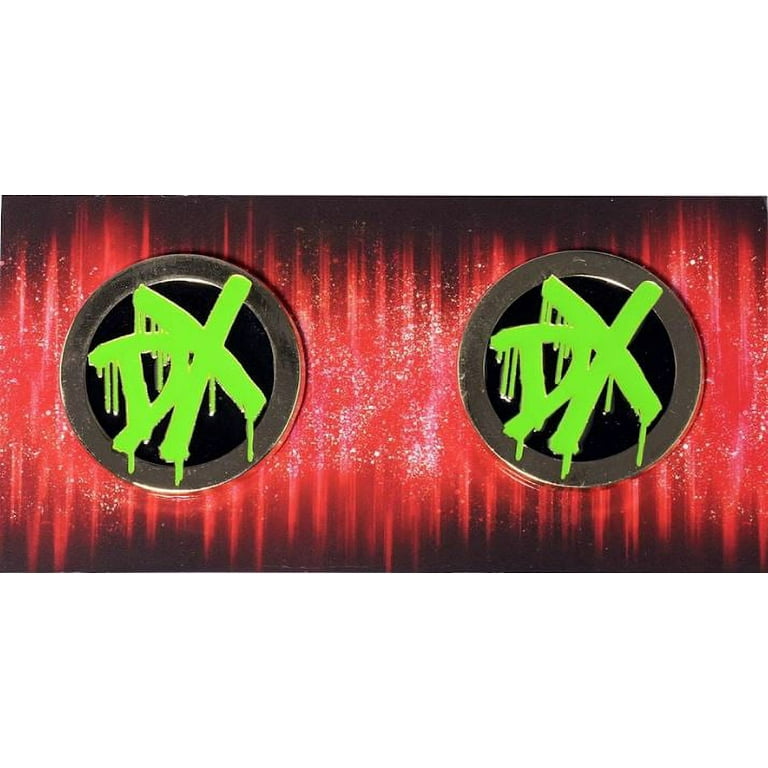 Loot Crate Exclusive D Generation X Side Plate Pins WWE SLAM CRATE