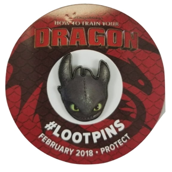 Loot Crate How to Train Your Dragon Pin