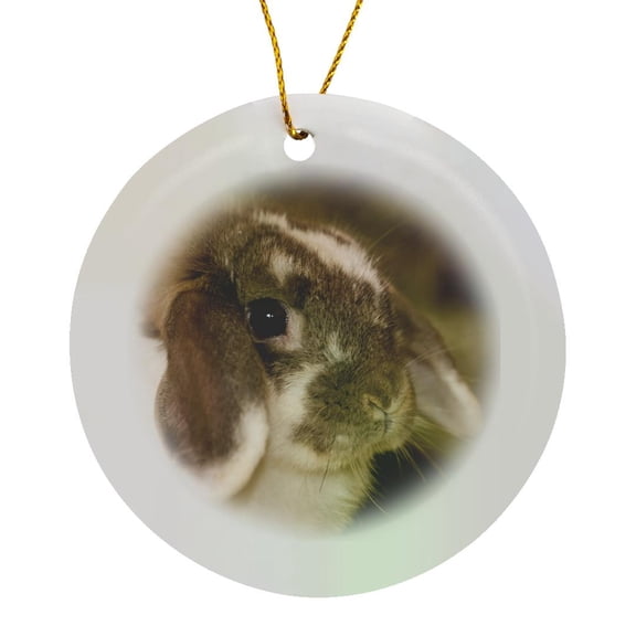 3drose, Lop Eared Bunny Sitting on a Bale of Hay., Circle Porcelain Ornament
