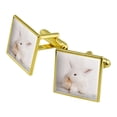 thumbnail image 1 of Lop Ears Miniature Bunny Rabbit Square Cufflink Set - Silver or Gold, 1 of 6