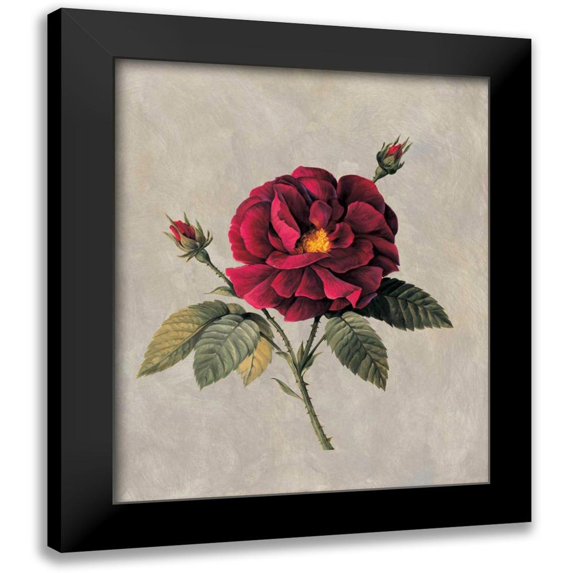 Lopez, E. 12x14 Black Modern Framed Museum Art Print Titled - Timeless II