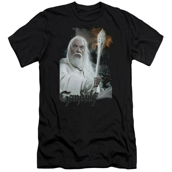 Lord of the Rings Gandalf Premium Canvas Adult Slim Fit 30/1 T-Shirt Black