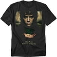 thumbnail image 1 of Lor T-Shirt Frodo One Ring Unisex Graphic Tee For Men & Women, 1 of 7