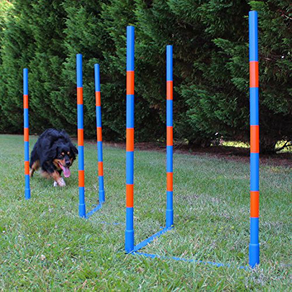 Lord Anson™ Dog Agility Weave Poles Competition Grade Adjustable
